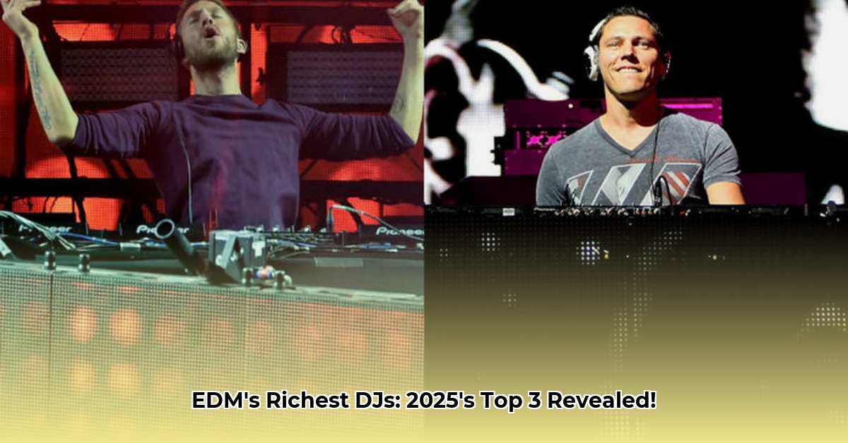 highest-paid-dj